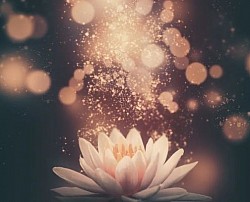 -Heilenergie Fernbehandlung 60 Min: -199€ -Ich sende dir Heilenergie um deine Körperlichen Symptome zu lindern oder gar zu lösen.